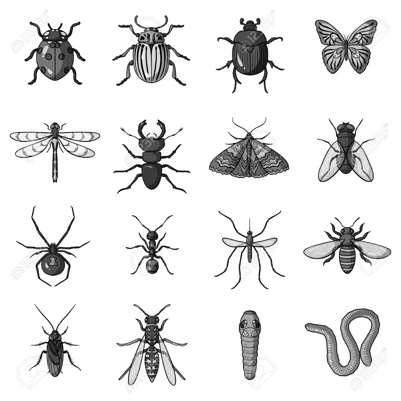 昆虫は モノクロ スタイルでアイコンを設定します 昆虫の大きなコレクション ベクトル シンボル ストック イラストのイラスト素材 ベクタ Image