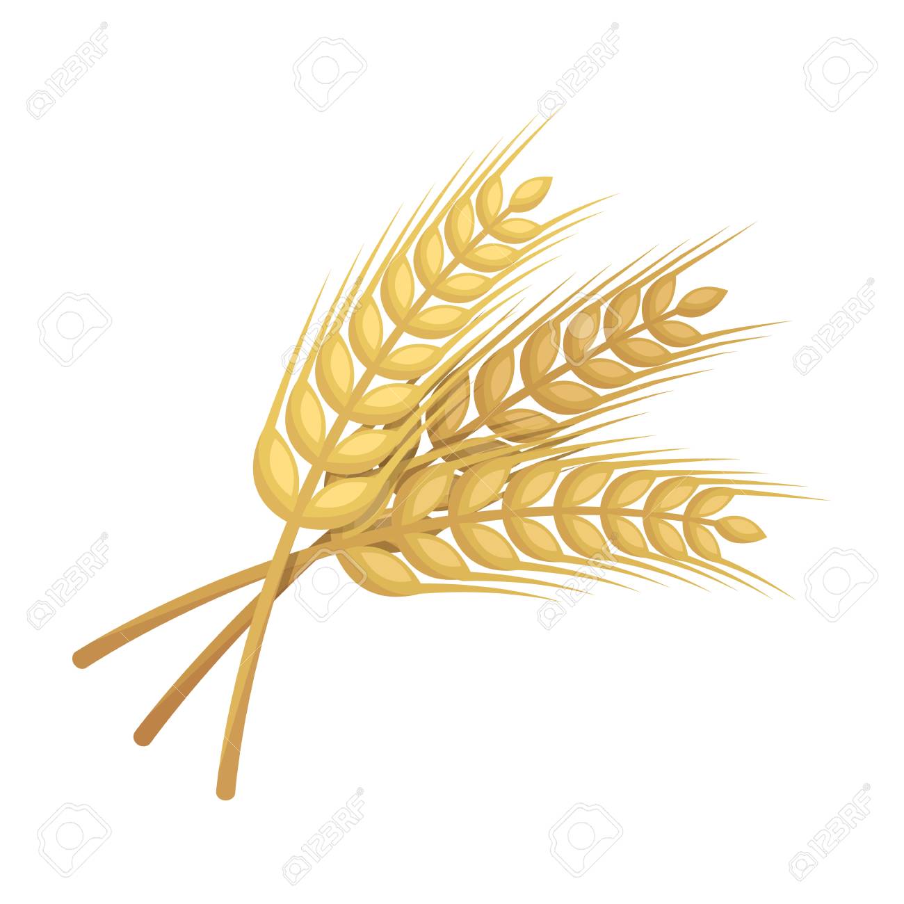 sprigs of wheat plant for brewing beer pub single icon in cartoon
