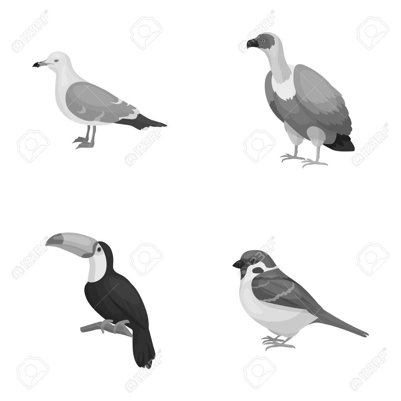 カモメ オオハシ 他の種 鳥は モノクロ スタイル ベクトル シンボル ストック イラスト Web のコレクションのアイコンを設定します のイラスト素材 ベクタ Image