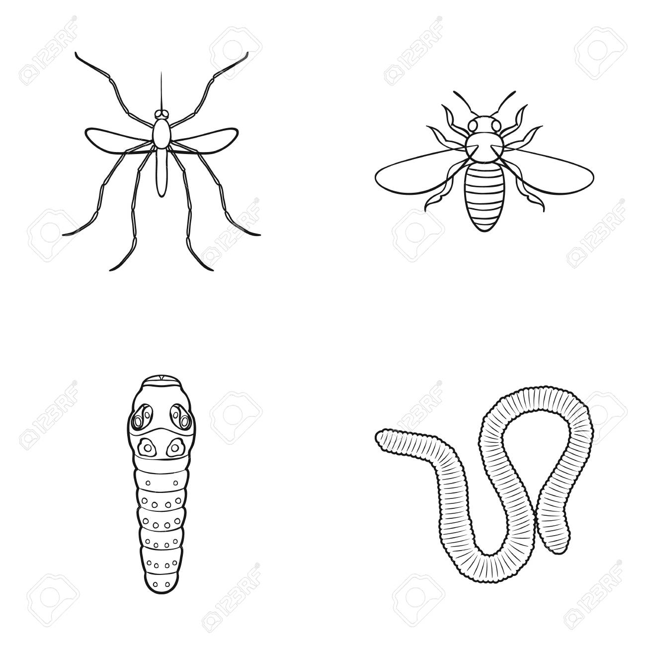 worm centipede wasp bee hornet insects set collection icons