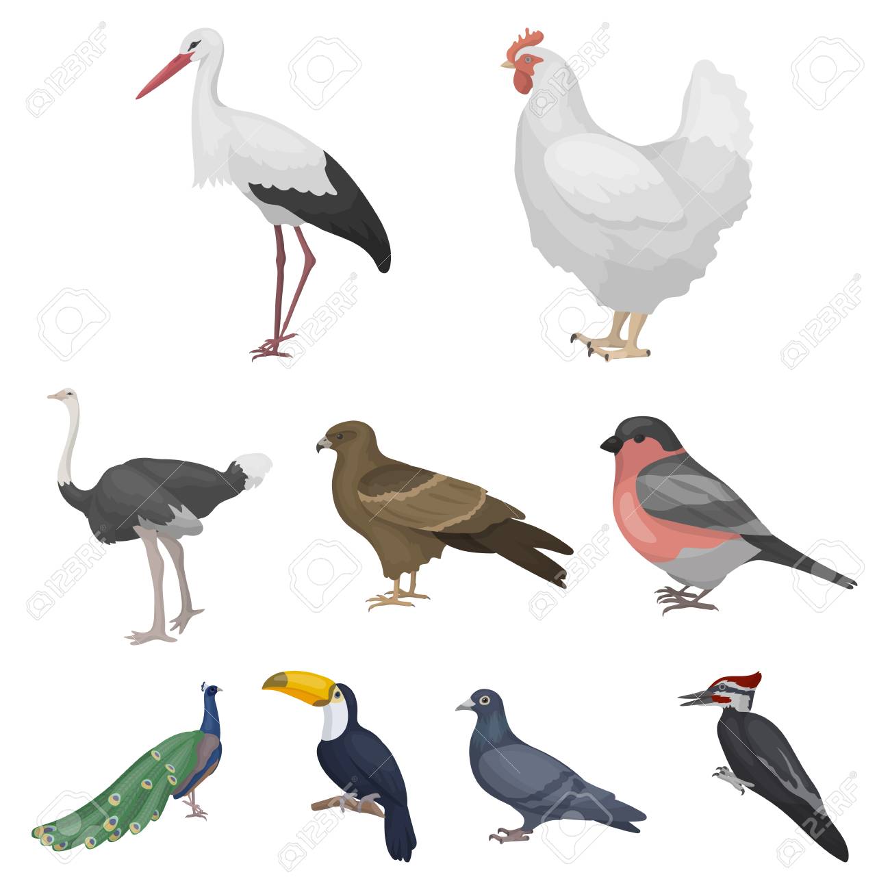 鳥は 漫画のスタイルのアイコンを設定します 大きな鳥のベクトル シンボル ストック イラスト集 のイラスト素材 ベクタ Image 鳥は 漫画のスタイルのアイコンを設定します 大きな鳥のベクトル シンボル ストック イラスト集 のイラスト素材 ベクタ Image