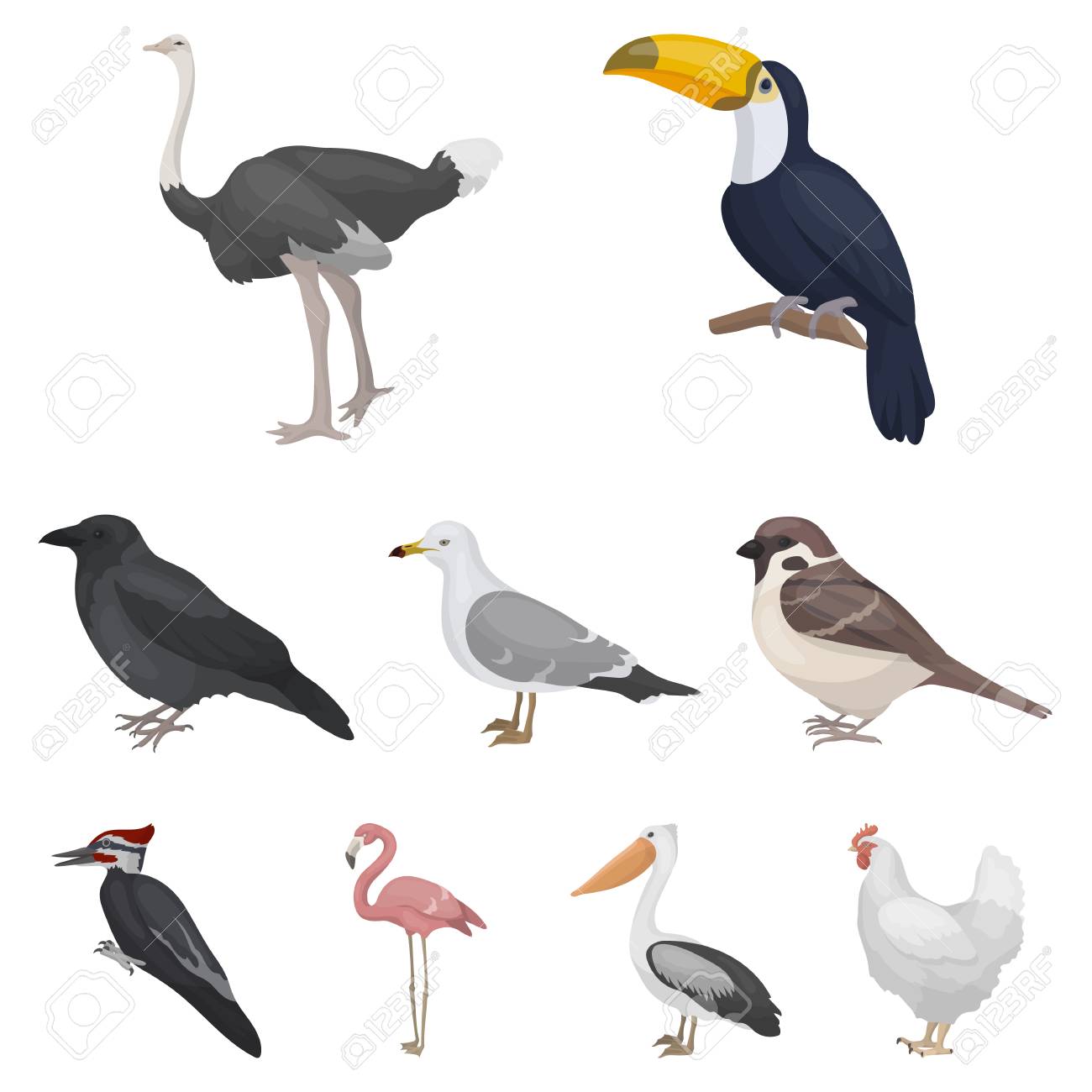 Vogel Set Ikonen Im Cartoon Stil Grosse Sammlung Von Vogel Vektor Symbol Lager Lizenzfrei Nutzbare Vektorgrafiken Clip Arts Illustrationen Image 85323089