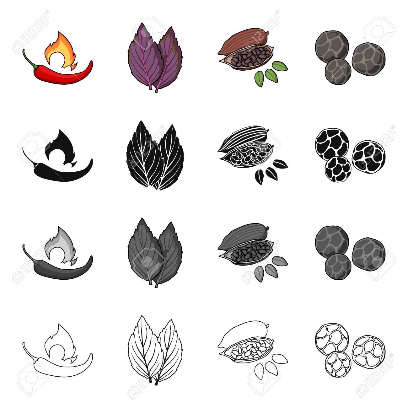 唐辛子 スパイス バジル コーヒー豆 黒胡椒 スパイスは 漫画白黒黒のアウトライン スタイル ベクトル シンボル ストック イラストでコレクションのアイコンを設定します のイラスト素材 ベクタ Image