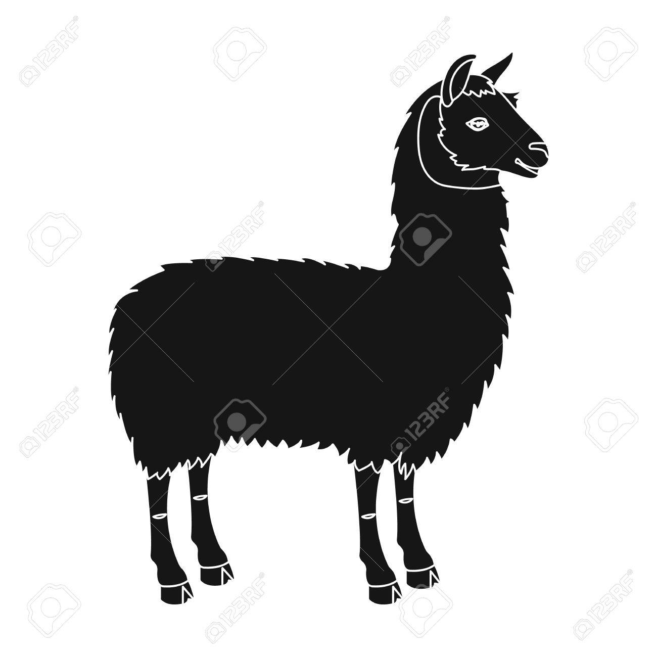 lama a south american pack animal a lame a cloven hoofed mammal