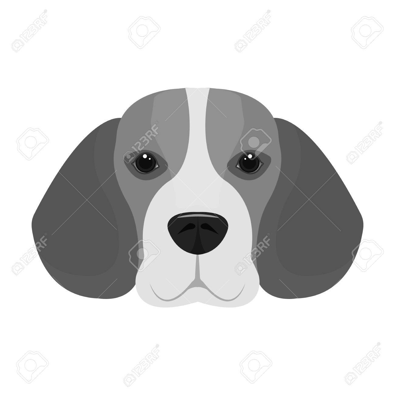 繁殖犬ビーグル犬 モノクロ スタイル ベクトル シンボル ストック イラスト Web で銃口ビーグル犬の 1 つのアイコン のイラスト素材 ベクタ Image