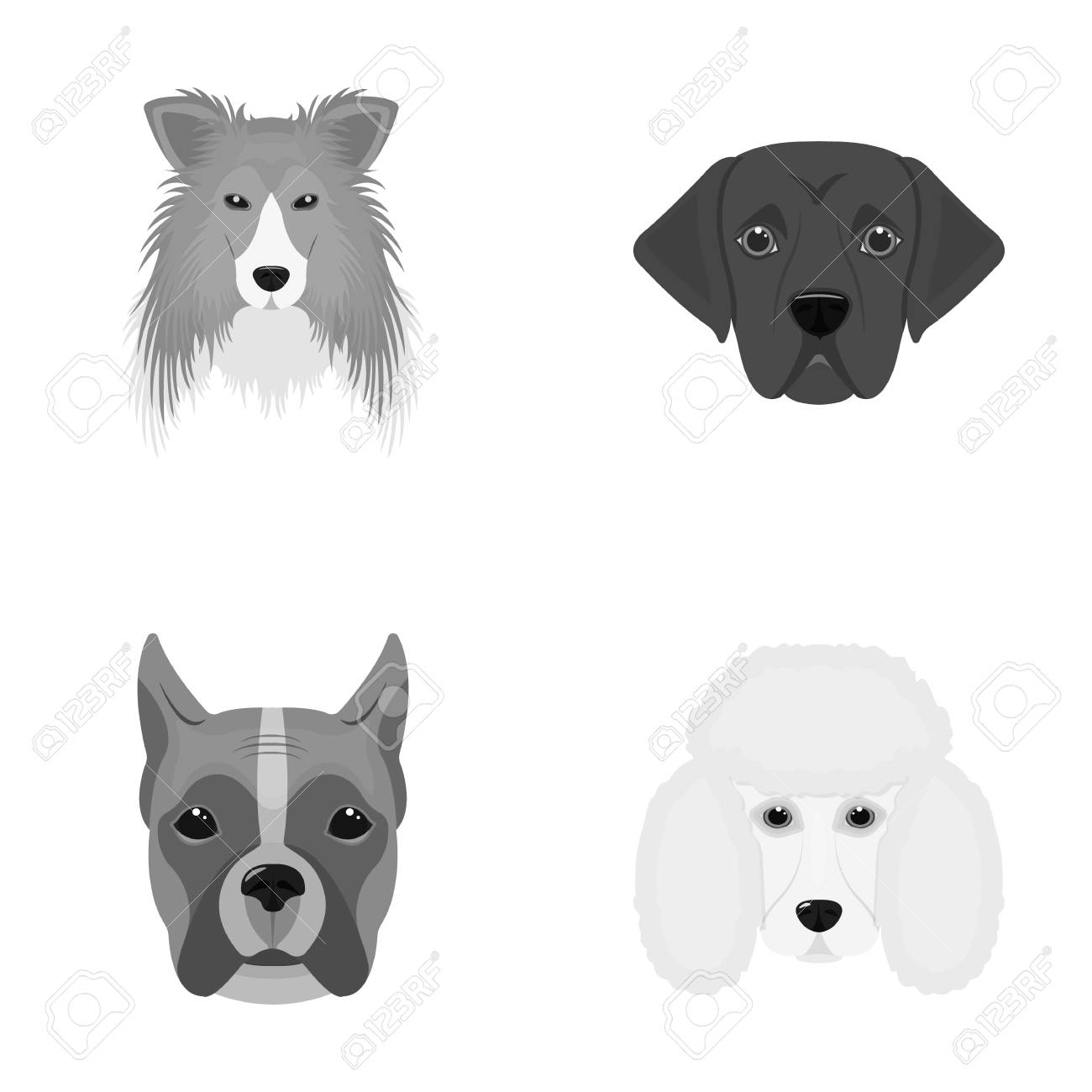 犬の異なった品種の銃口 コリー犬 Lobladore プードル ボクサーはモノクロ スタイル ベクトル シンボル ストック イラスト Web コレクションのアイコンを設定します のイラスト素材 ベクタ Image 犬の異なった品種の銃口 コリー犬 Lobladore プードル ボクサーはモノクロ スタイル ベクトル シンボル ストック イラスト Web コレクションのアイコンを設定します のイラスト素材 ベクタ Image