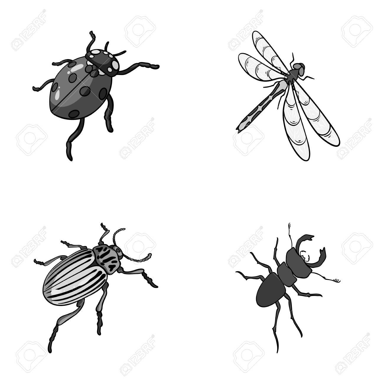 節足動物昆虫テントウムシ トンボ コロラド昆虫はモノクロスタイルベクトルシンボルストックアイソメイラストウェブでコレクションのアイコンを設定します の イラスト素材 ベクタ Image