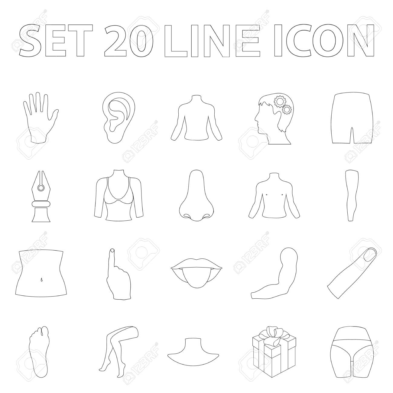 ボディの一部 デザインのためのセットコレクション内の四肢の輪郭アイコン 人間解剖ベクトルシンボルストックイラスト のイラスト素材 ベクタ Image