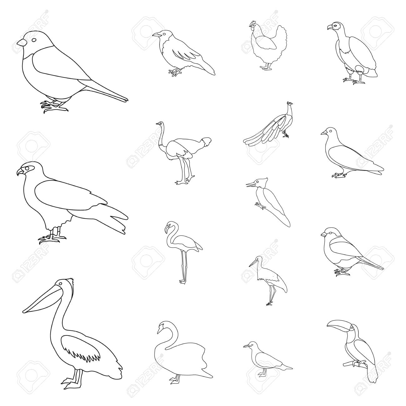 鳥の種類は デザインのセットコレクション内のアイコンをアウトラインします ホームと野鳥ベクトルシンボルストックウェブイラスト のイラスト素材 ベクタ Image