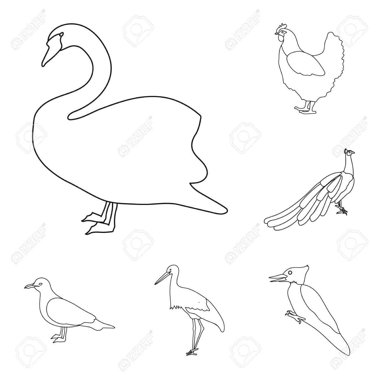 デザイン用のセットコレクション内の鳥のアウトラインアイコンの種類 ホームと野鳥ベクトルシンボルストックウェブイラスト のイラスト素材 ベクタ Image