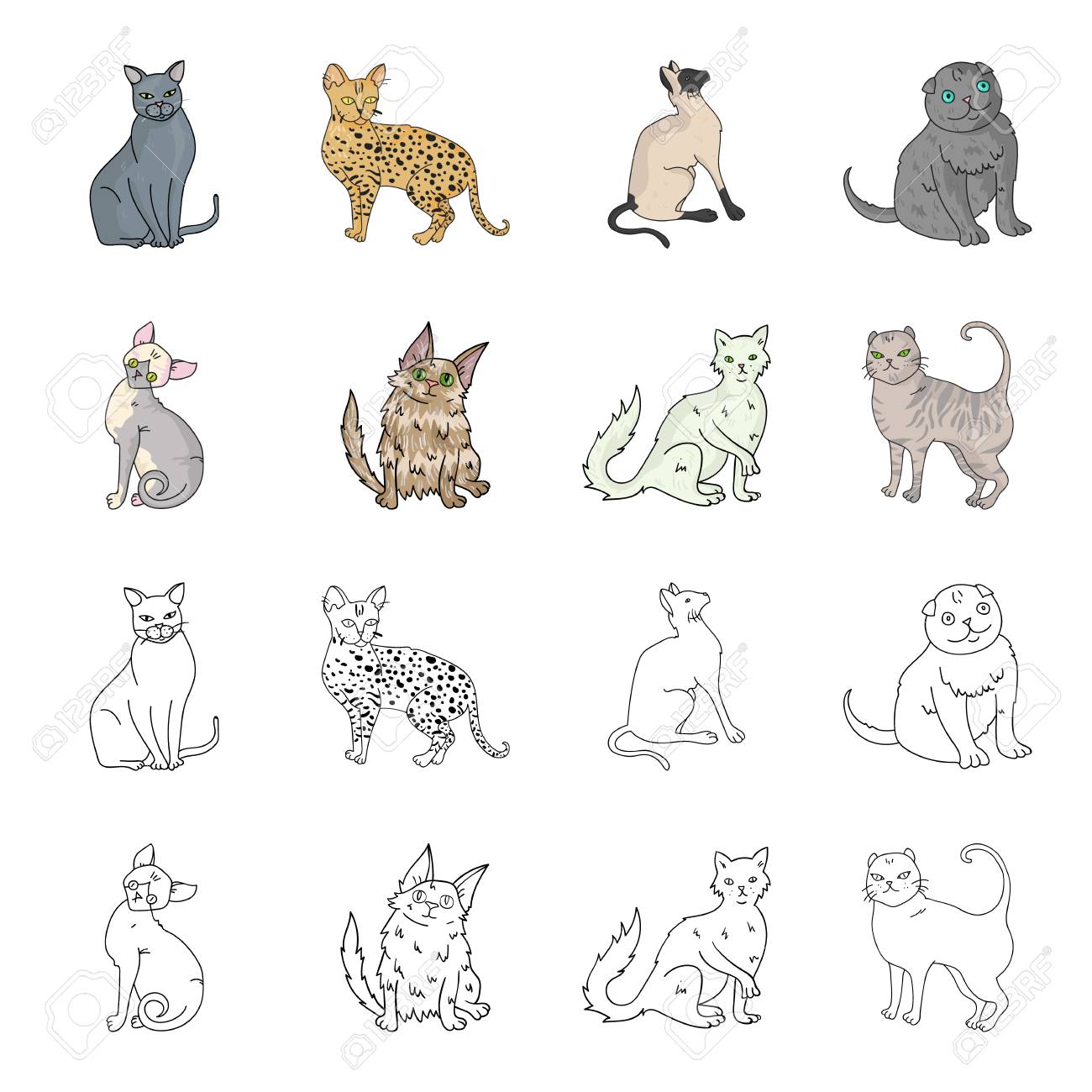Turkish Angora British Longhair And Other Species Cat Breeds Royalty Free Cliparts Vectors And Stock Illustration Image Turkish Angora British Longhair And Other Species Cat Breeds Royalty Free Cliparts Vectors And Stock Illustration Image