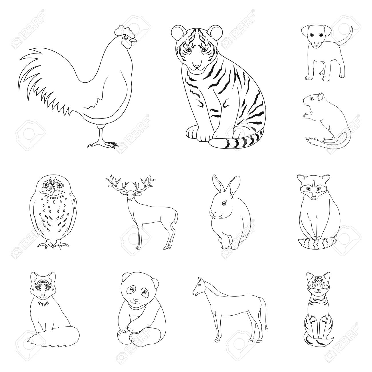 Realistic Animals Outline Icons In Set Collection For Design