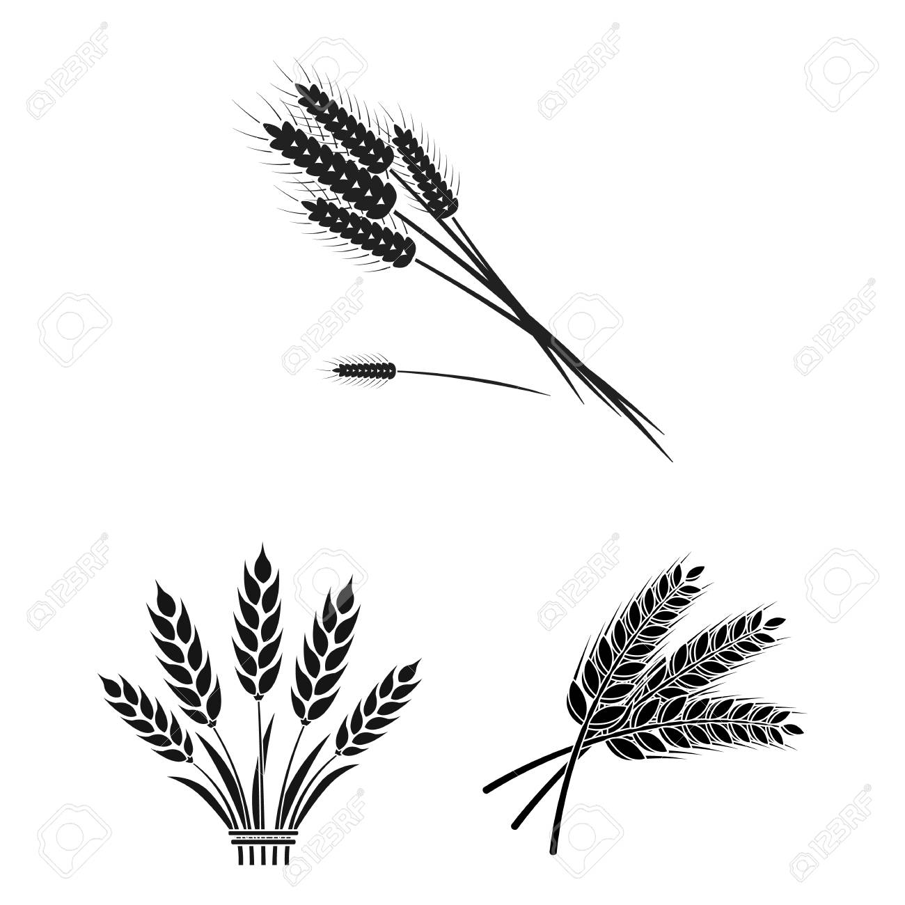 Vector Illustration Of Wheat And Stalk Logo. Set Of Wheat And Grain Stock  Vector Illustration. Royalty Free SVG, Cliparts, Vectors, And Stock  Illustration. Image 113735819.