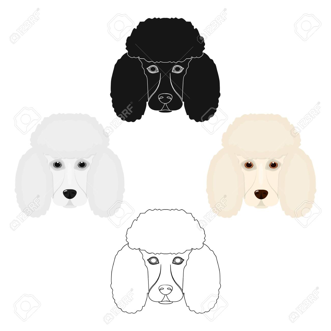poodle muzzle