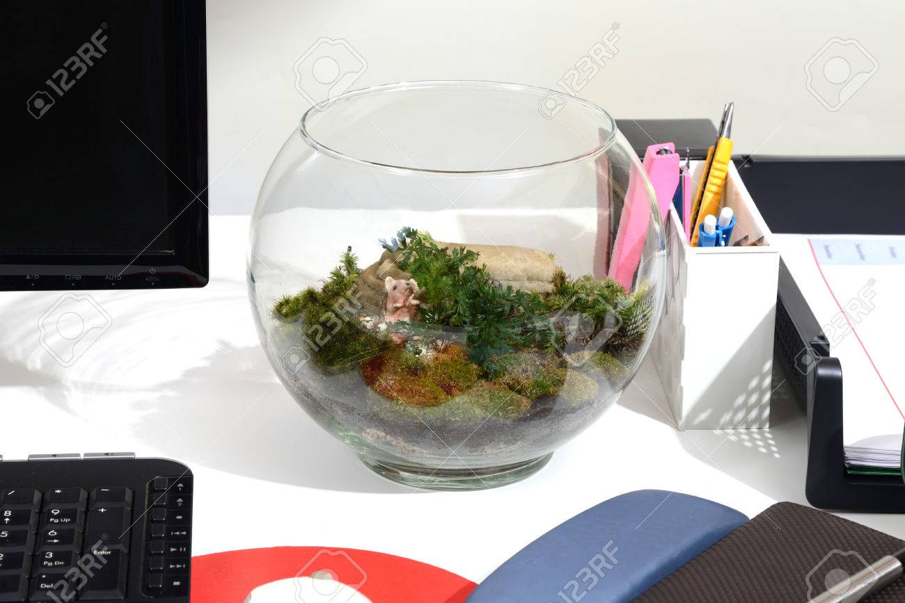 Make Green In Office With A Little Bottle Of Terrarium On Working Make green in office with a little bottle of terrarium on working desk. Stock Photo - Make Green In Office With A Little Bottle Of Terrarium On Working