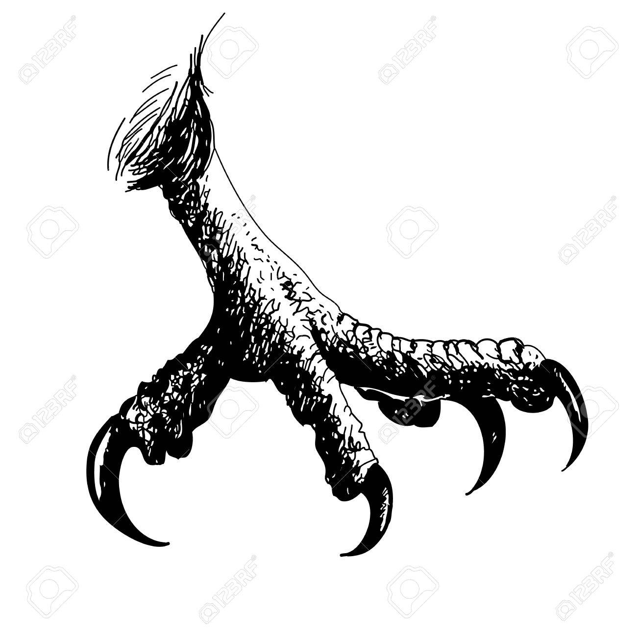 Freehand Illustration Der Adler Vogel Krallen Auf Weissem Hintergrund Doodle Hand Gezeichnet Lizenzfrei Nutzbare Vektorgrafiken Clip Arts Illustrationen Image 47879824