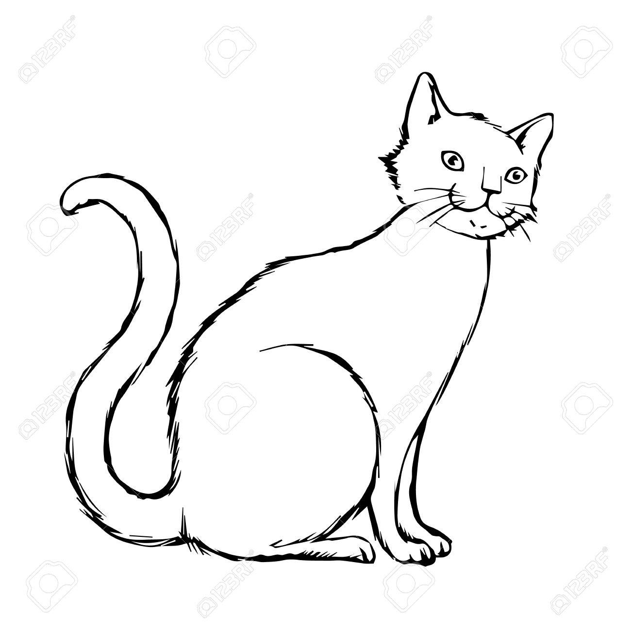 Freehand Sketch Illustration Of Cat Kitten Doodle Hand Drawn