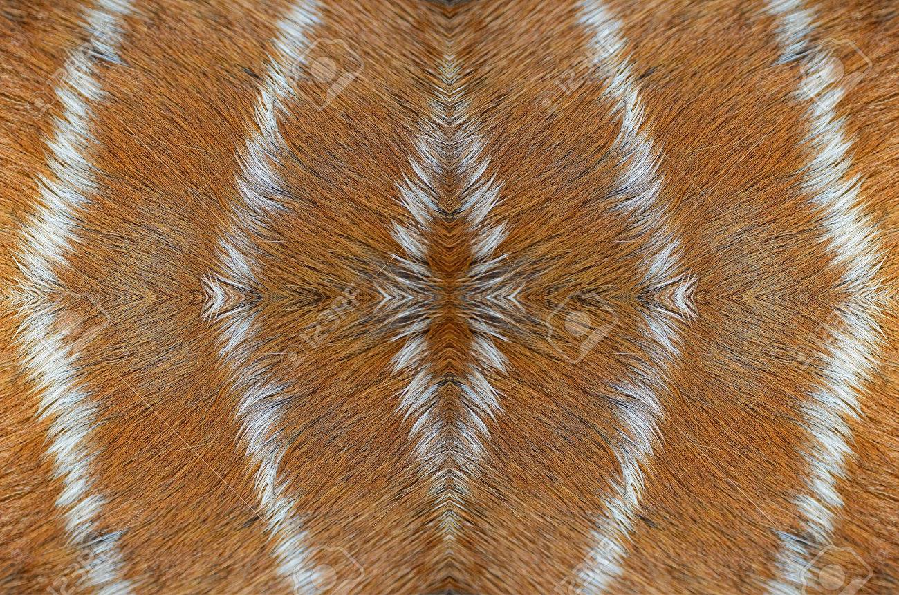 鹿皮のバック グラウンドの実際ブラウン 柄 の写真素材 画像素材 Image 28876490