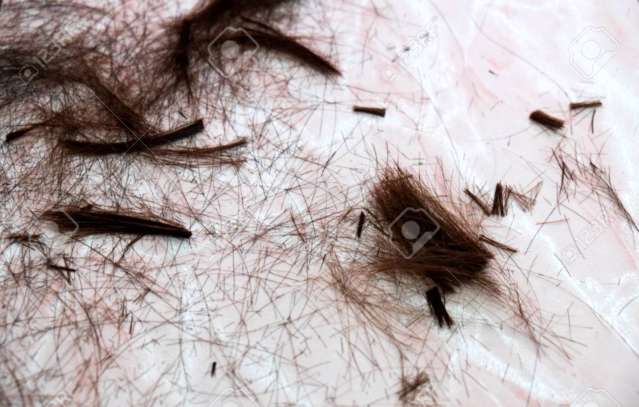 Hair Cut Off On Pink Floor Stock Photo Picture And Royalty Free