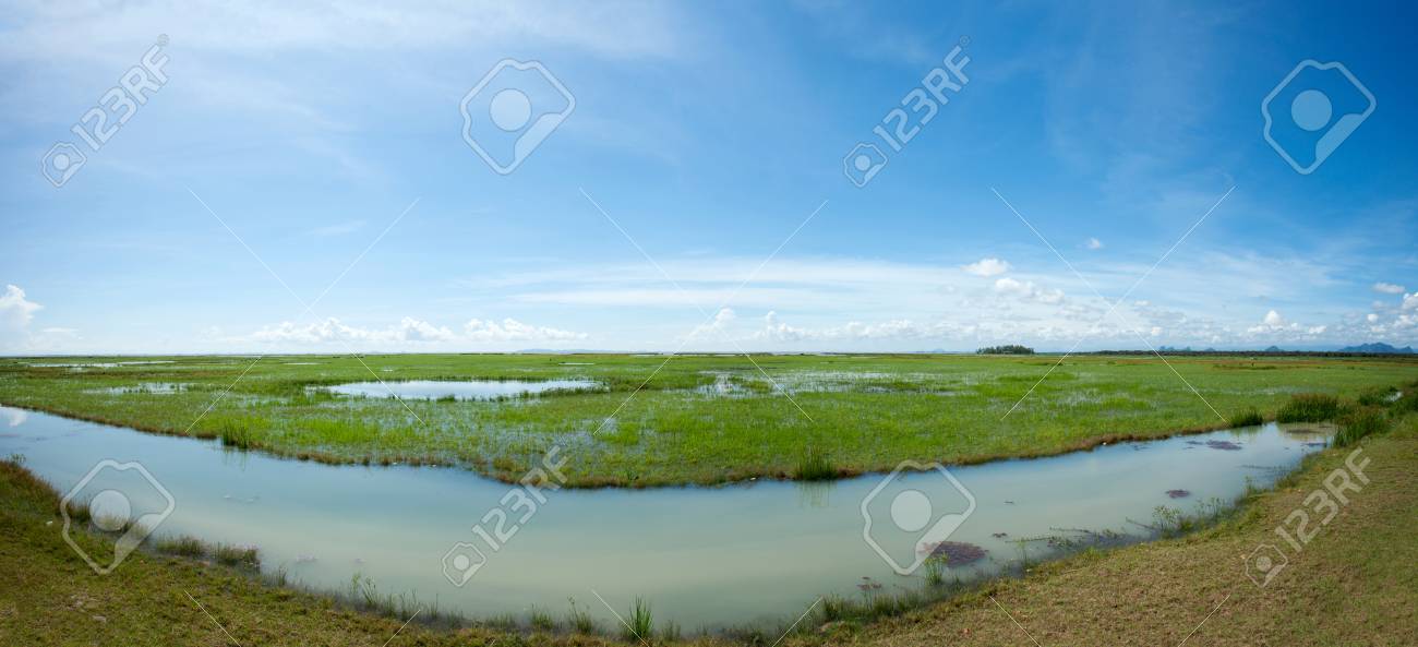 自然の池と澄んだ空の背景 新鮮な風景田舎きれい夏風景パノラマ 理想的な背景と自然のデザイン の写真素材 画像素材 Image