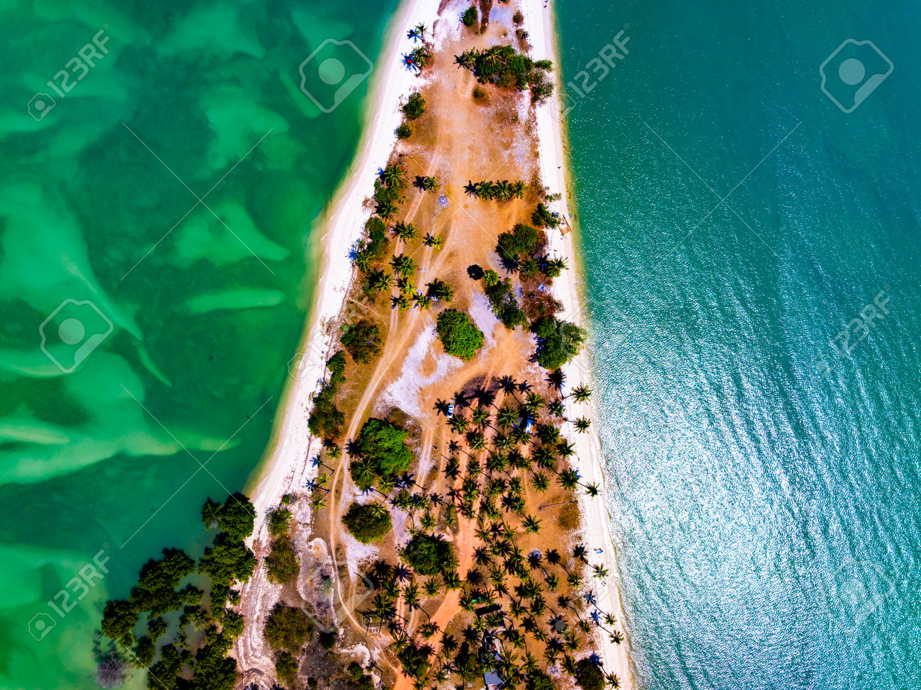 etiam-dictum-ipsum-a-felis