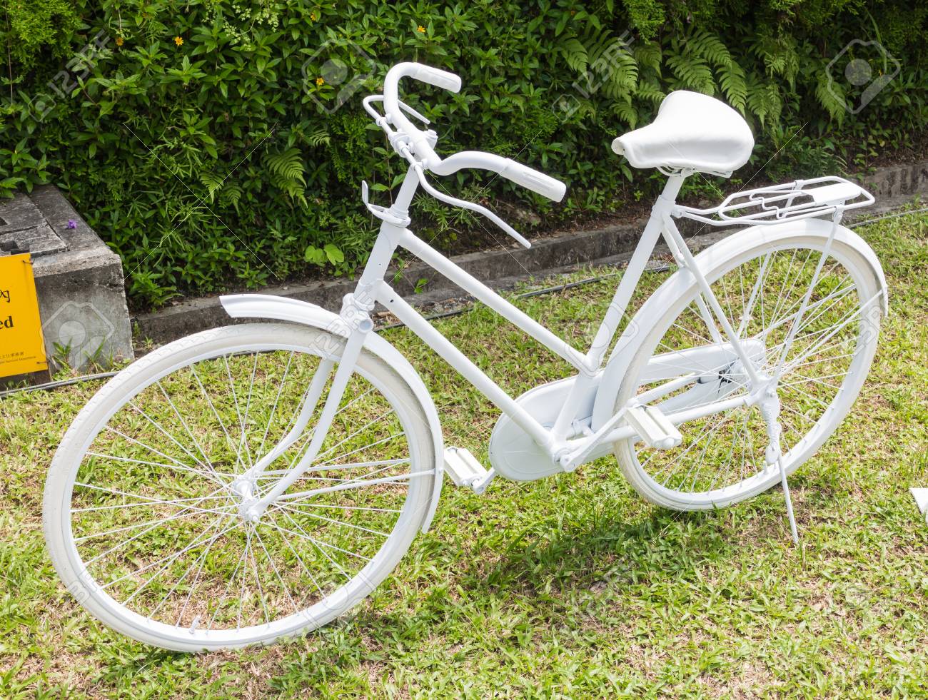 庭に白い自転車 の写真素材 画像素材 Image