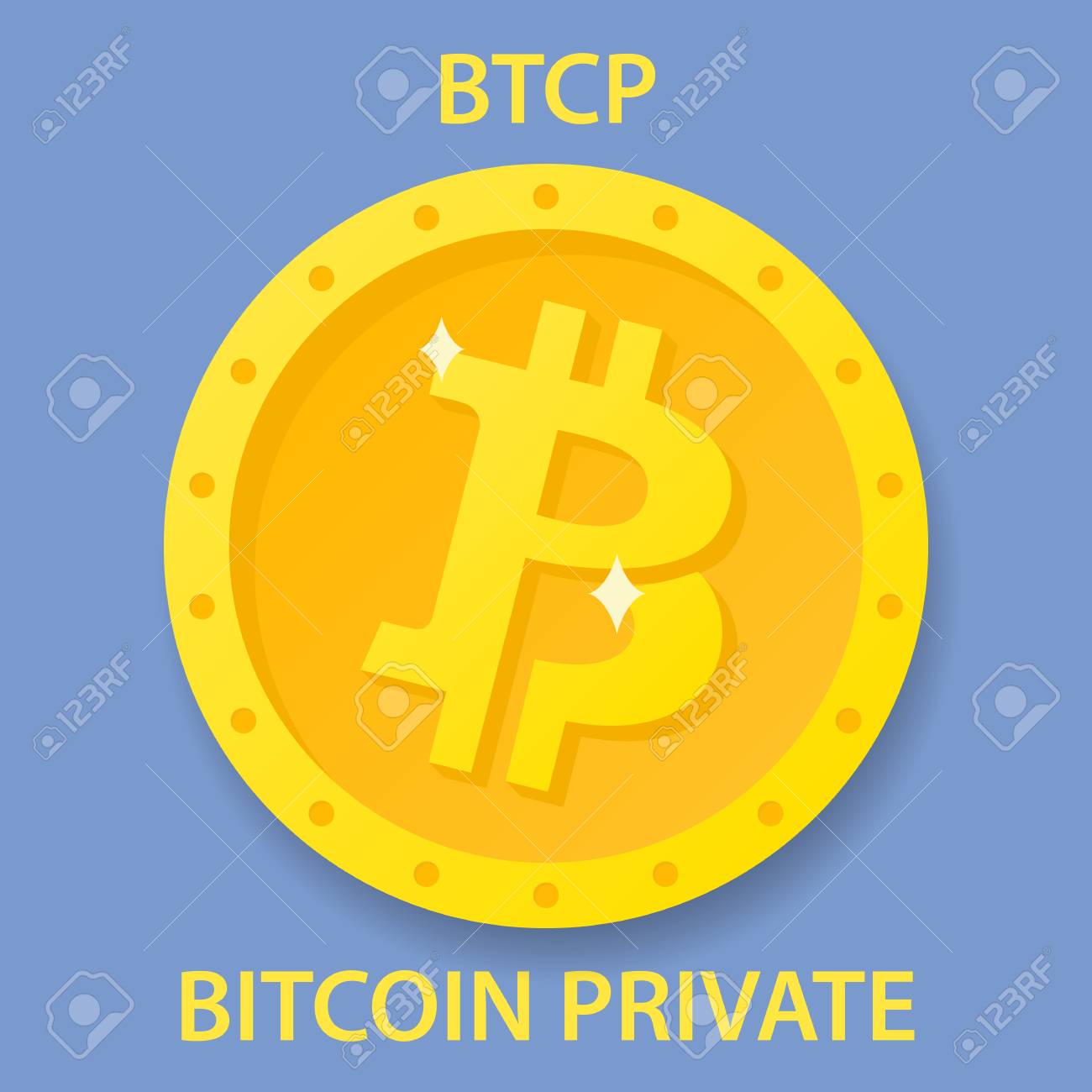 Bitcoin Private Coin Cryptocurrency Blockchain Icon Virtual - 