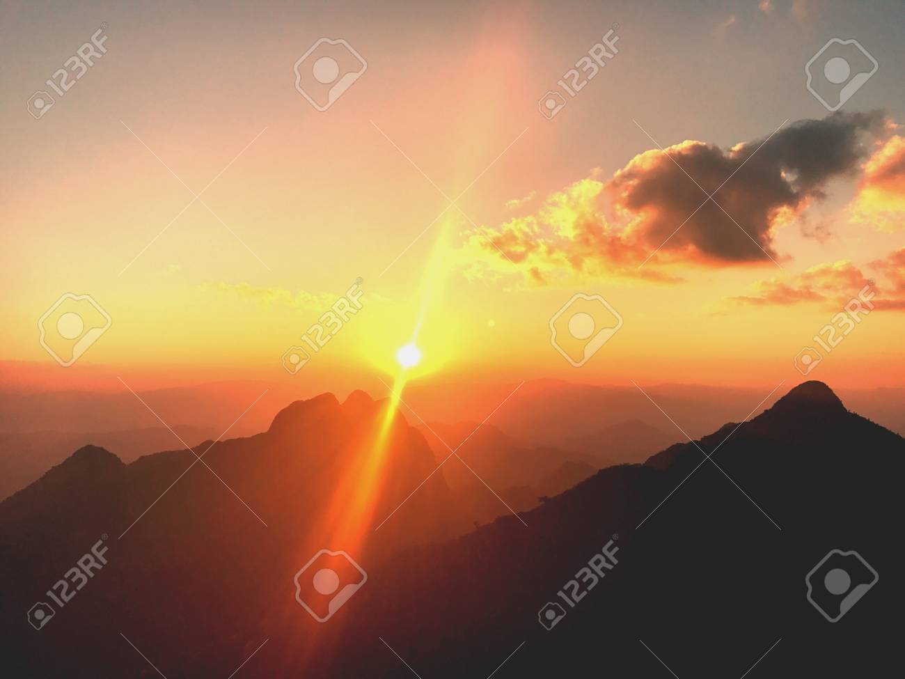 etiam-dictum-ipsum-a-felis