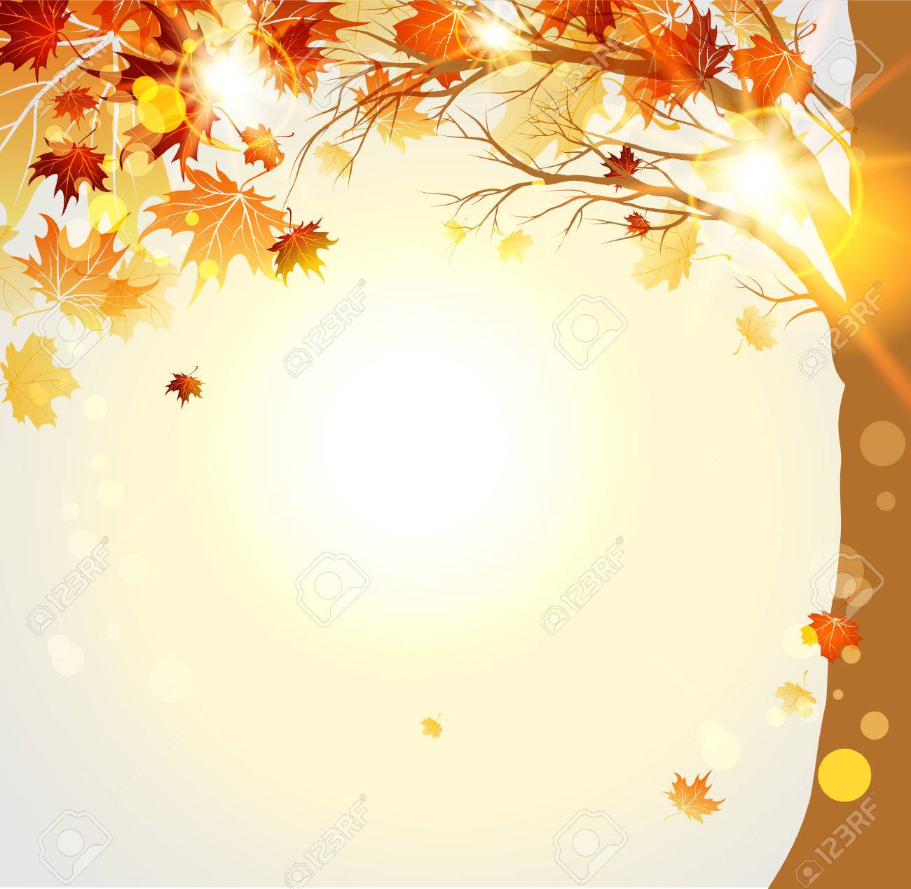 Autumnal Trees With Maple Autumn Leaves And Sunlight Place For Text Royalty Free Cliparts Vectors And Stock Illustration Image