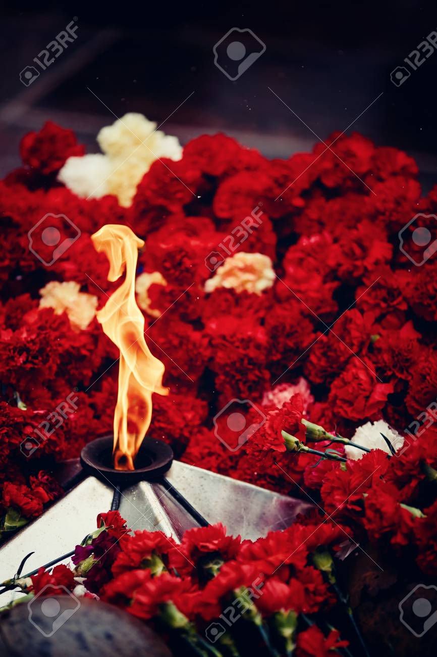 Fundo De Cravos Vermelhos Fogo Eterno Capacetes De Soldados O Conceito E O Comeco E O Fim Da Segunda Guerra Mundial A Memoria Dos Soldados O Dia Da Vitoria As Guerras Sangrentas