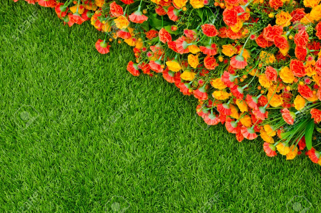 grass field with flowers meadow artificial grass field and flowers top view texture stock photo 21959874 and grass field with flowers meadow artificial grass field and flowers top view texture stock photo 21959874 and