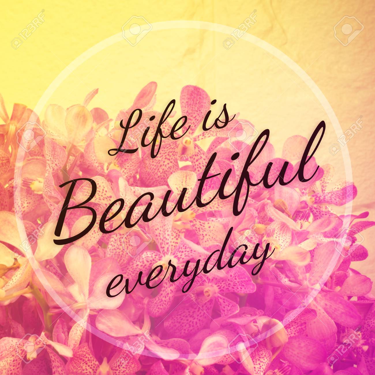 Citation Inspiree Typographic La Vie Est Belle Tous Les Jours Banque D Images Et Photos Libres De Droits Image