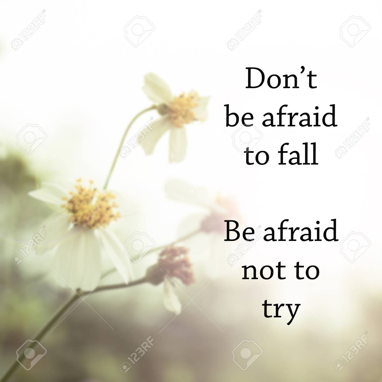 Citation Inspiree Sur Fond Flou Avec Filtre Millesime Banque D Images Et Photos Libres De Droits Image Citation Inspiree Sur Fond Flou Avec Filtre Millesime Banque D Images Et Photos Libres De Droits Image