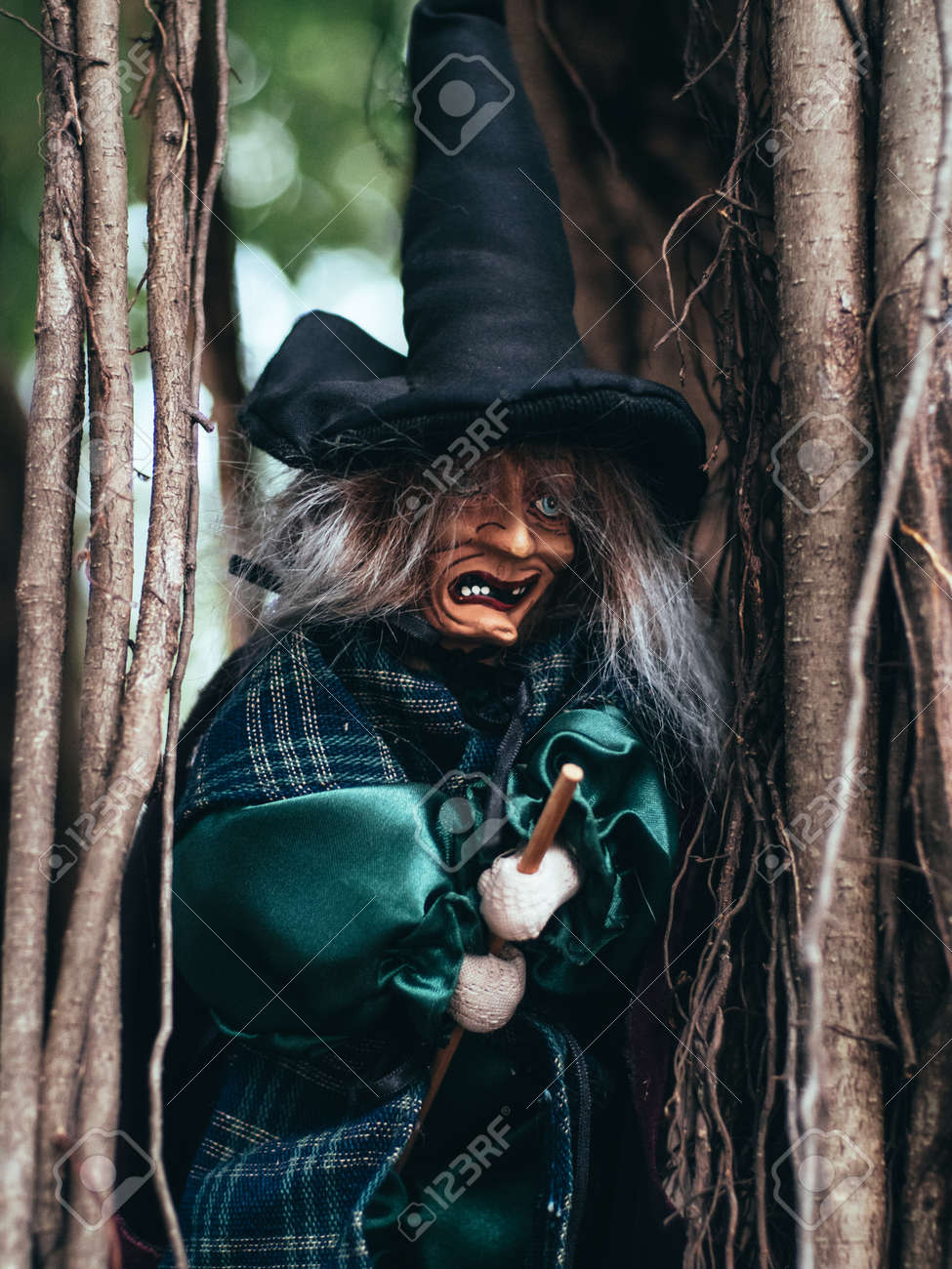 Evil Witch On Nature Dark Background, Closeup Portrait Of Old Lady With  Terrifying Makeup, Halloween Background Stock Photo, Picture and Royalty  Free Image. Image 176344744., image size:975x1300