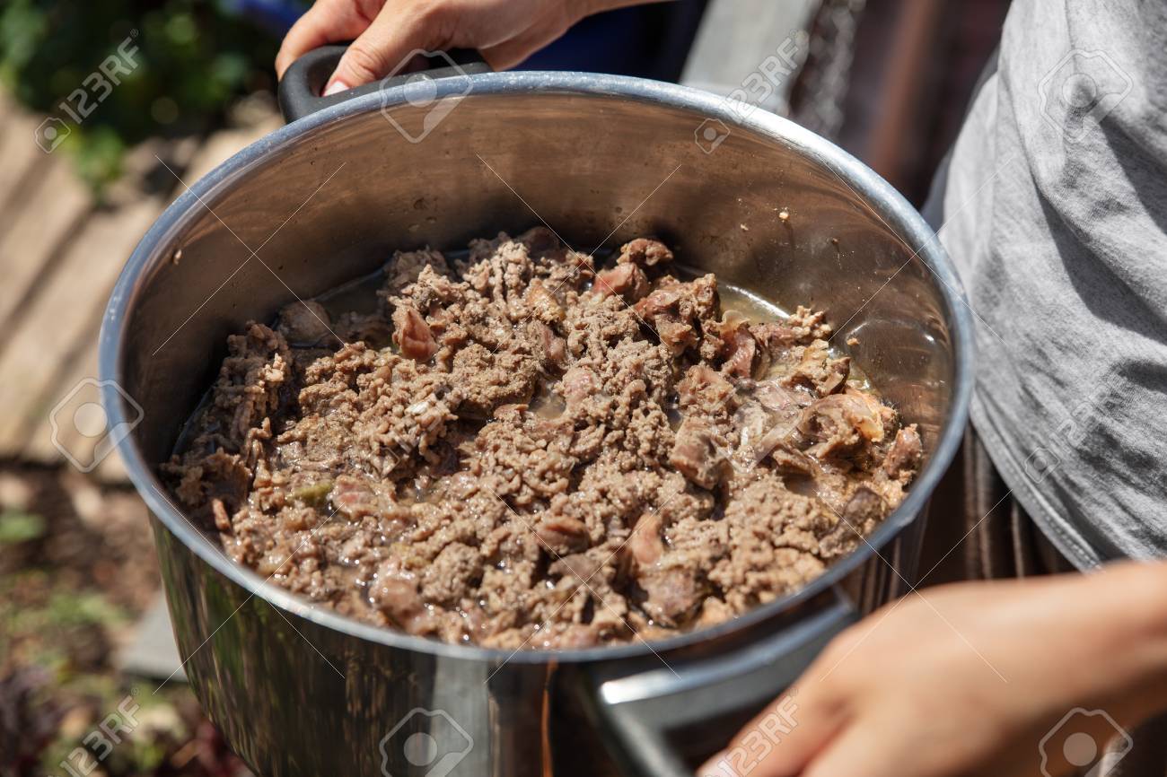 cooked meat for cats