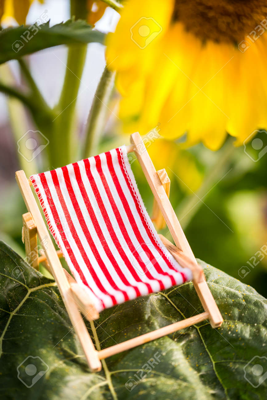 a miniature deckchair red white striped with a sunflower in the background, concept holiday and vacation - 170379733 a miniature deckchair red white striped with a sunflower in the background, concept holiday and vacation - 170379733