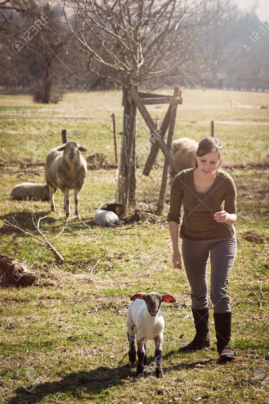Woman and a lamb, sheep herd in the background, concept farmstead - 170230796 Woman and a lamb, sheep herd in the background, concept farmstead - 170230796