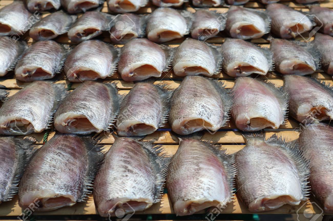 トリコ 魚