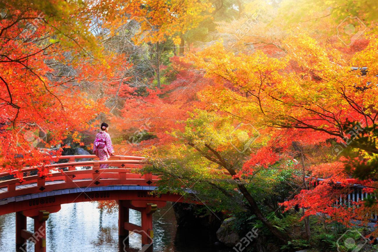 Wooden bridge in the autumn park, Japan - 57375035 Wooden bridge in the autumn park, Japan - 57375035