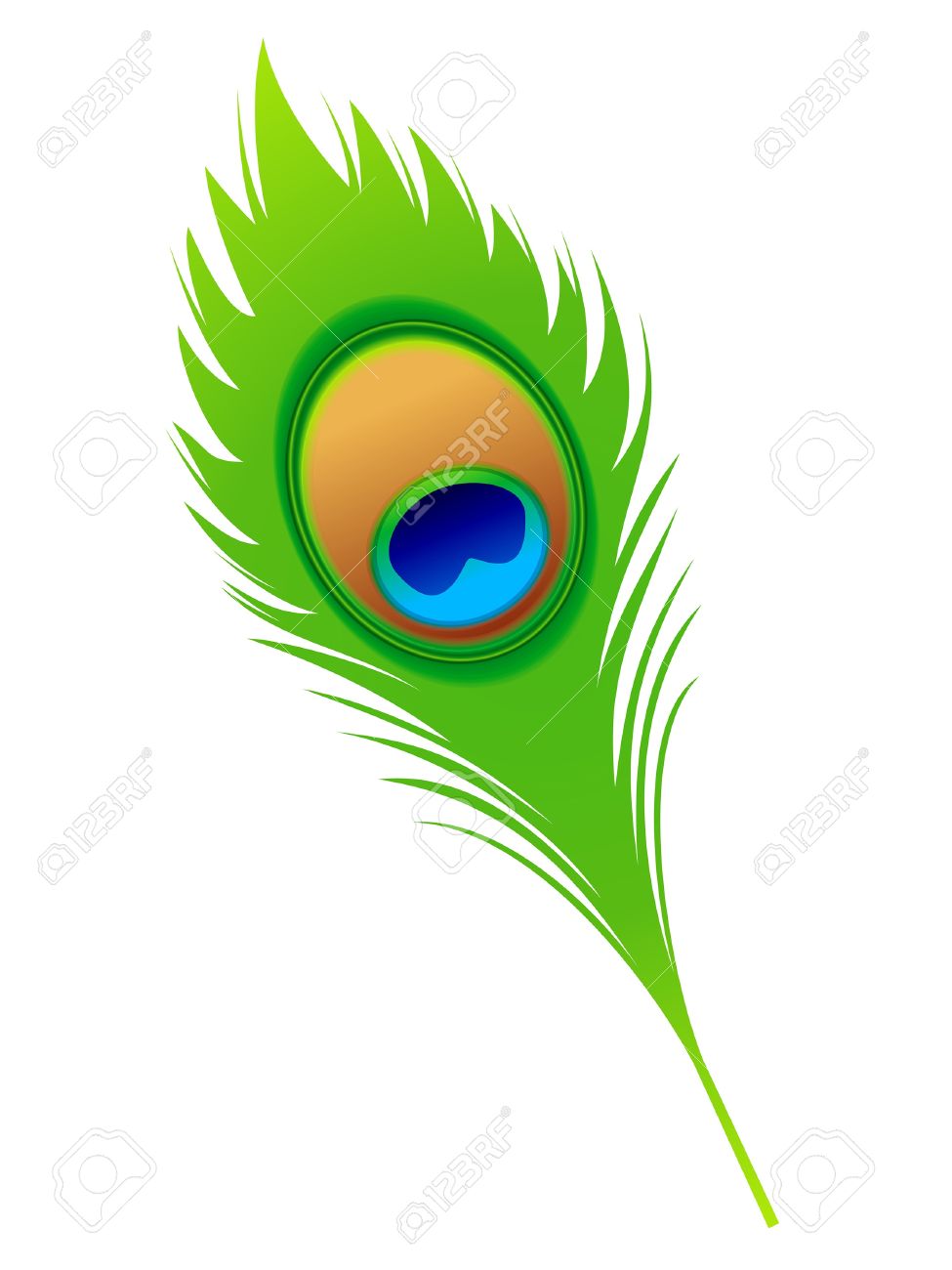 Featured image of post Peacock Feather Vector Logo