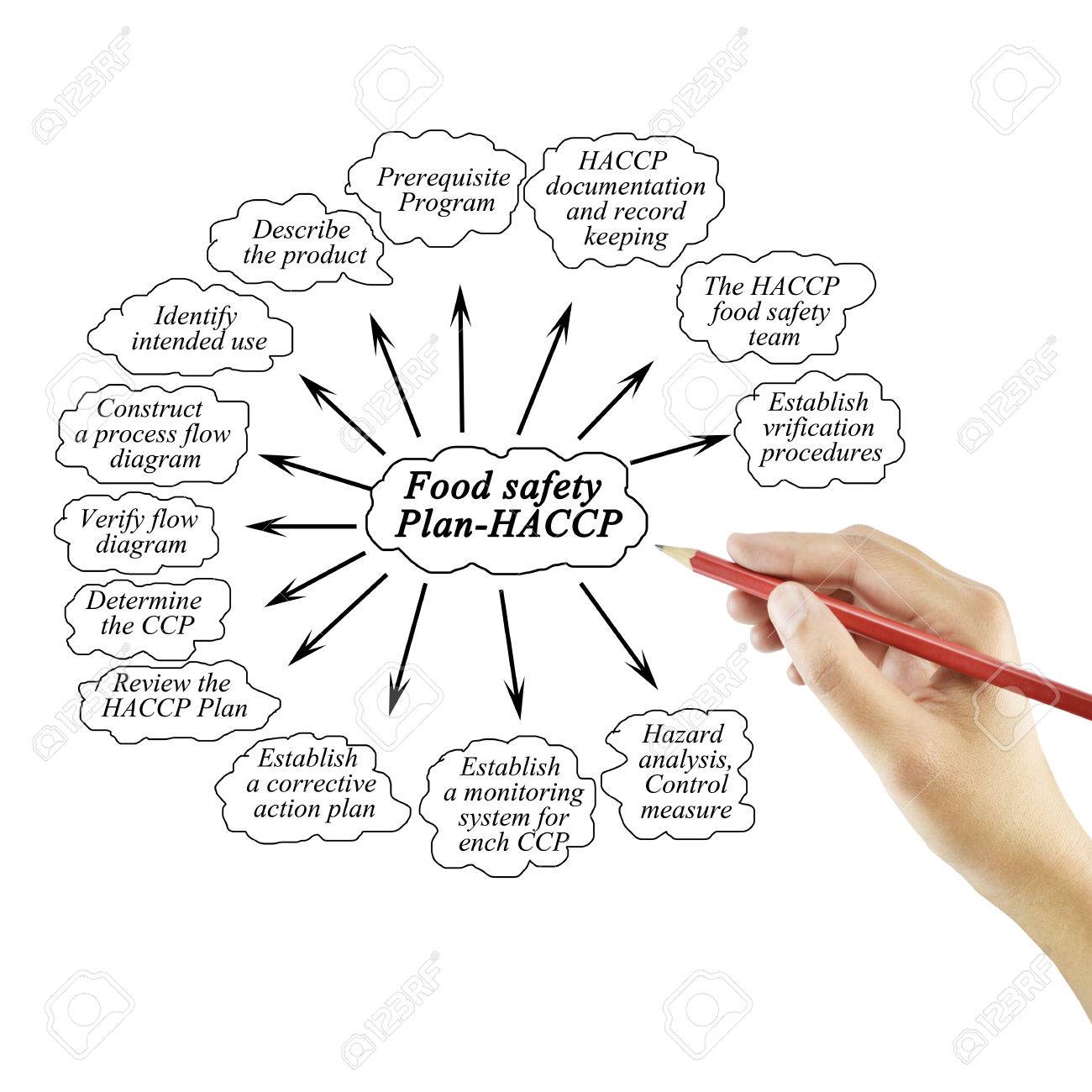 hand writing element of food safety plan haccp for business concept food safety plan