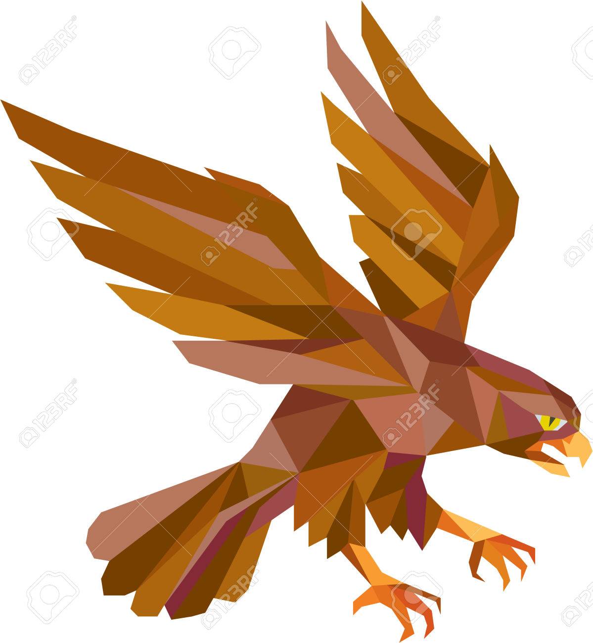 Low Polygon Style Illustration Of A Peregrine Falcon Hawk Eagle