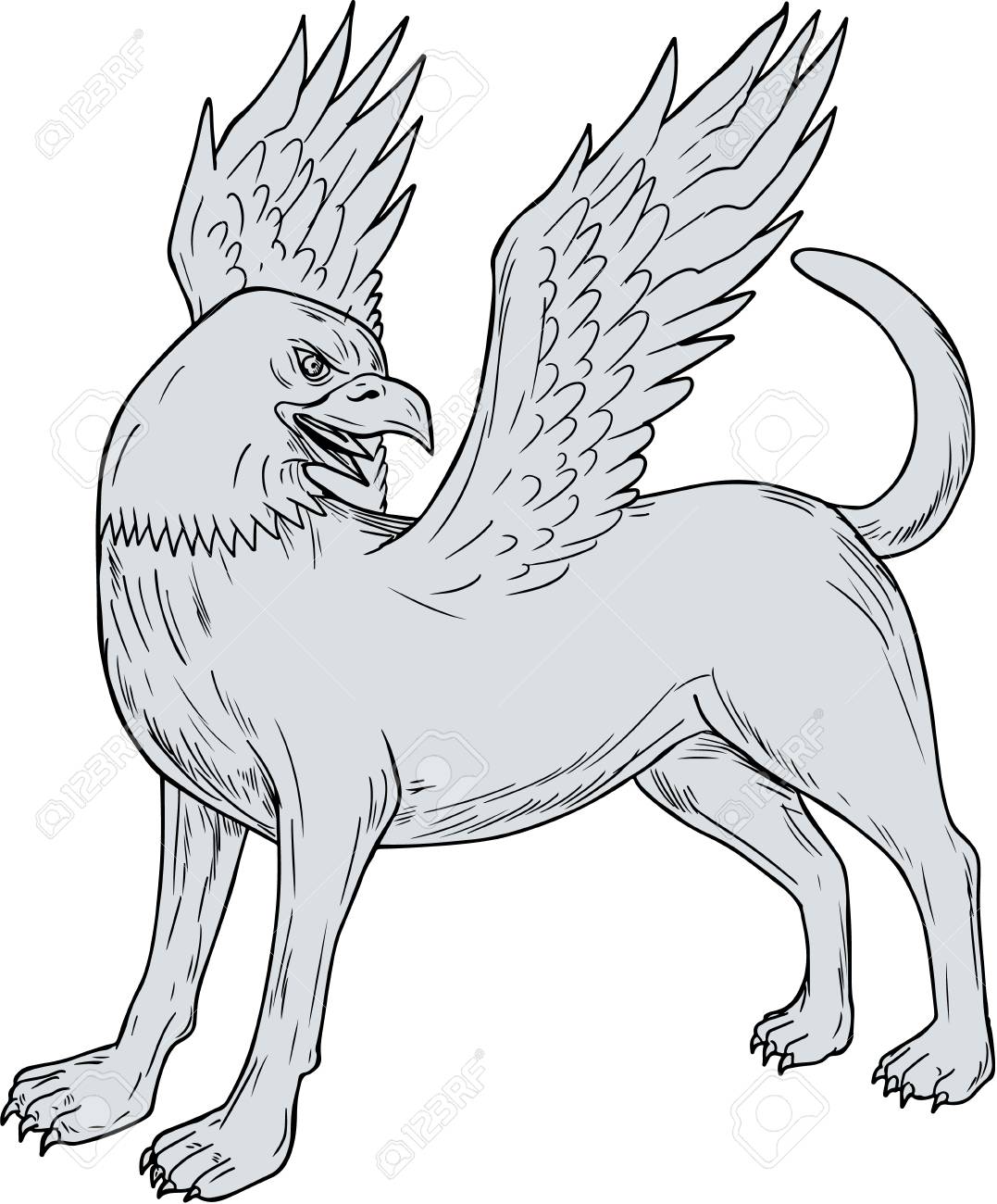 Drawing Sketch Style Illustration Of A Chamrosh A Persian Mythology Royalty Free Cliparts Vectors And Stock Illustration Image 80342303