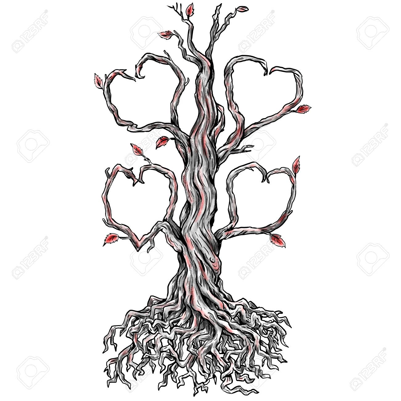 Tattoo Style Illustration Of A Twisted Oak Tree Without Leaves Stock Photo Picture And Royalty Free Image Image Tattoo Style Illustration Of A Twisted Oak Tree Without Leaves Stock Photo Picture And Royalty Free Image Image