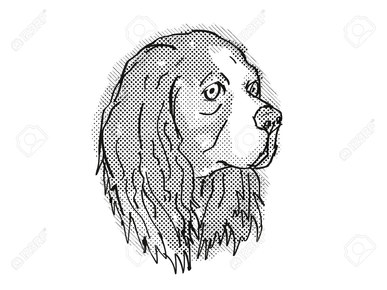Retro Cartoon Style Drawing Of Head Of A Cavalier King Charles