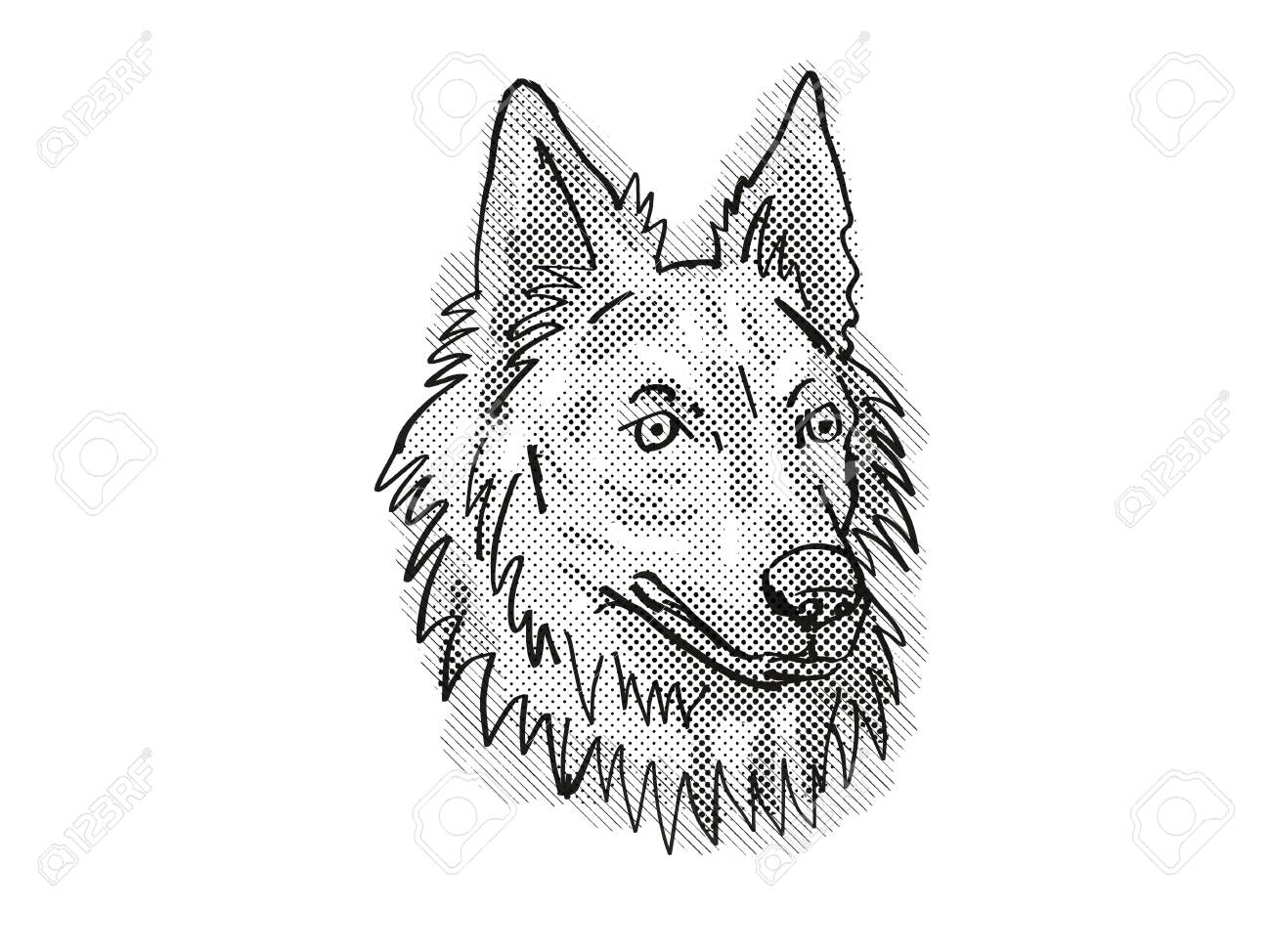 Retro Cartoon Style Drawing Of Head Of A Dutch Shepherd A Domestic