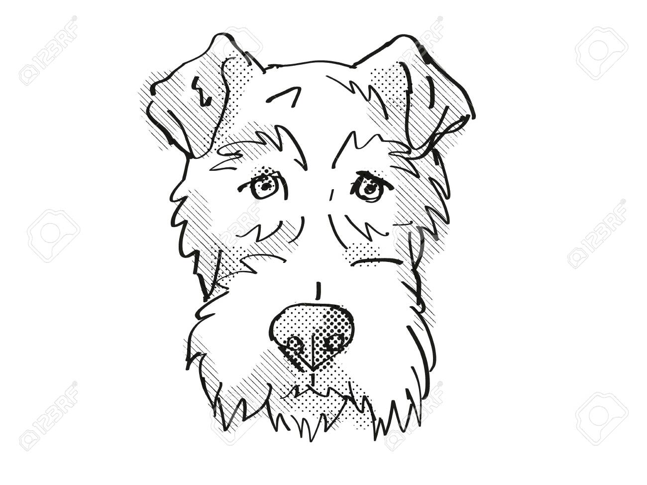 fox terrier head