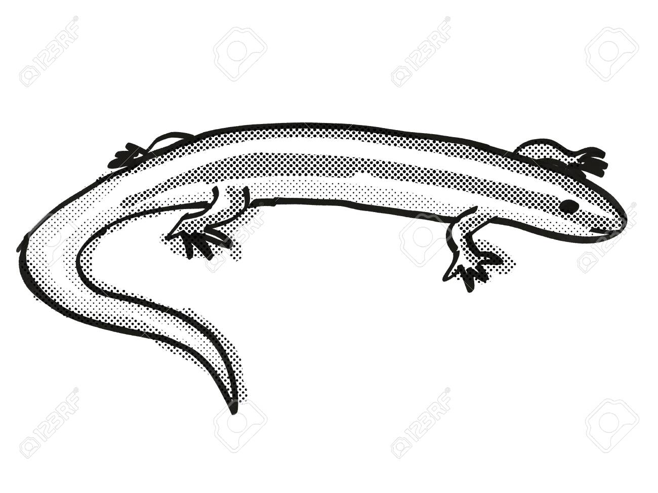 Retro Cartoon Style Drawing Of An Alborn Skink A Native New Stock Photo Picture And Royalty Free Image Image
