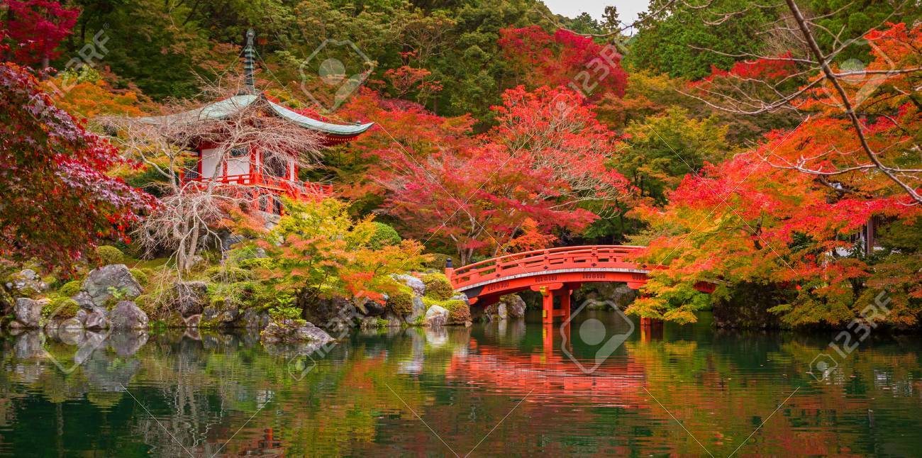 Beautiful%20Autumn%20In%20Japanese%20Garden%20With%20Colorful%20Maple%20Trees,%20Kyoto,%20Japan%20%20Stock%20Photo,%20Picture%20and%20Royalty%20Free%20Image.%20Image%2078580776.