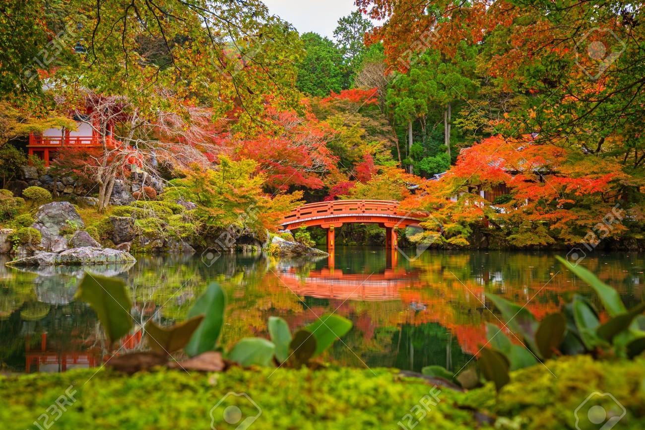 Beautiful%20Autumn%20In%20Japanese%20Garden%20With%20Colorful%20Maple%20Trees,%20Kyoto,%20Japan%20%20Stock%20Photo,%20Picture%20and%20Royalty%20Free%20Image.%20Image%2079462438.